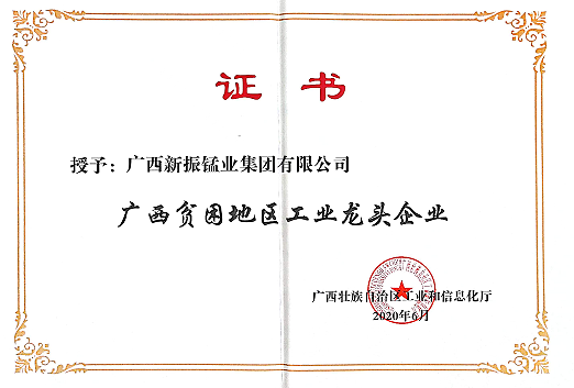 广西贫困地区工业龙头企业