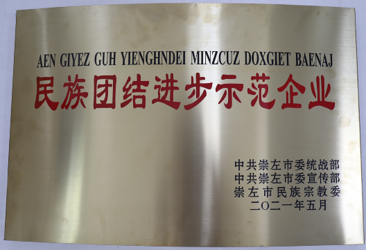 民族团结进步示范企业